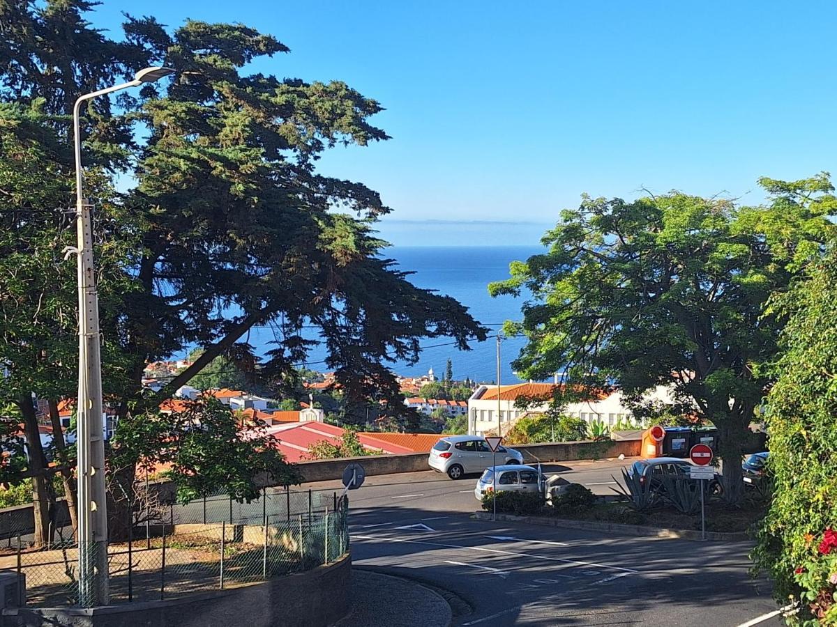 Funchal Apartments - New Botanic Garden Petit Studios Zewnętrze zdjęcie